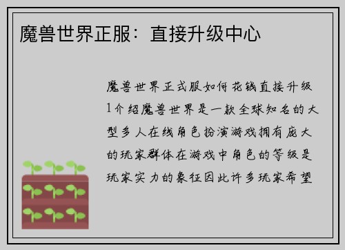魔兽世界正服：直接升级中心